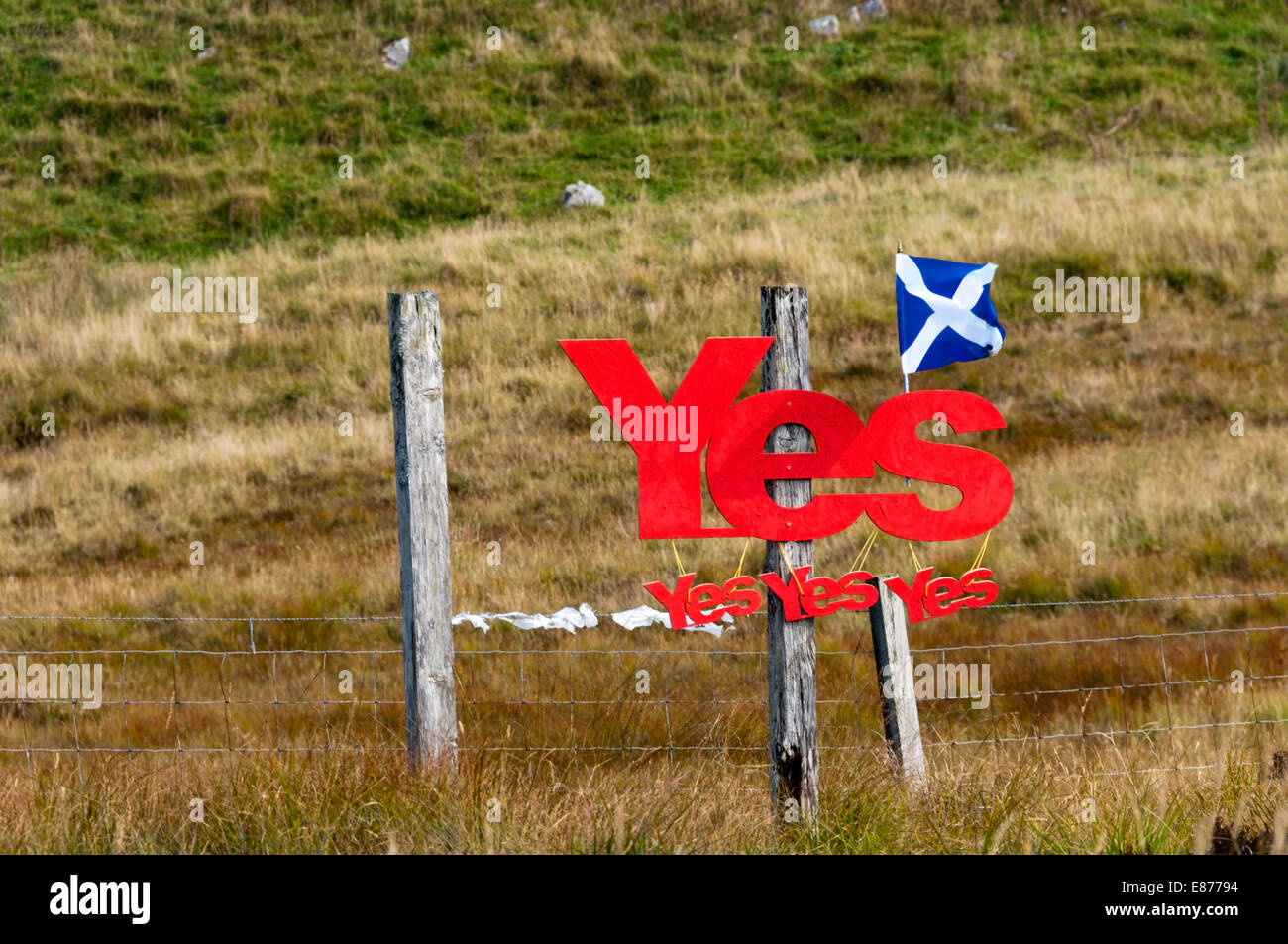 Eine Anzeige für ein ja in die schottischen Unabhängigkeitsreferendum 2014. Stockfoto