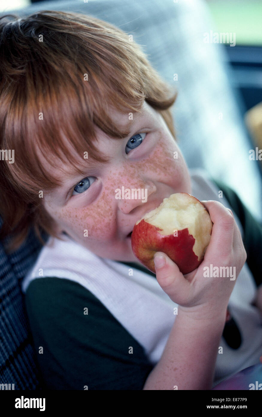 Ein vier-jährige amerikanische junge mit roten Haaren, blauen Augen und ein sommersprossiges Gesicht genießt in diesem informellen Porträt einen Apfel essen. Stockfoto