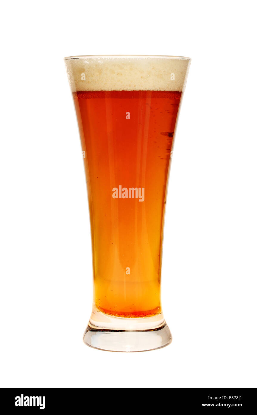 Glas Bier isoliert gegen weiß Stockfoto
