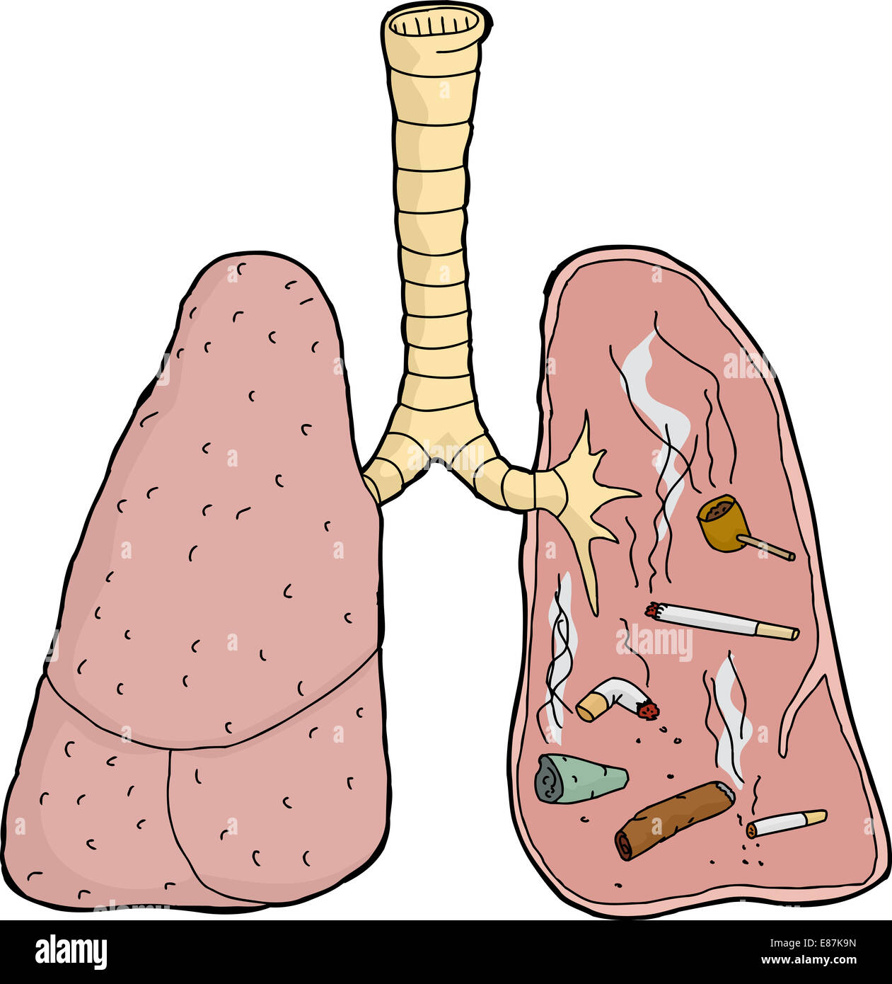 Isolierte schmutzig Lunge mit Zigaretten und Tabak Stockfoto