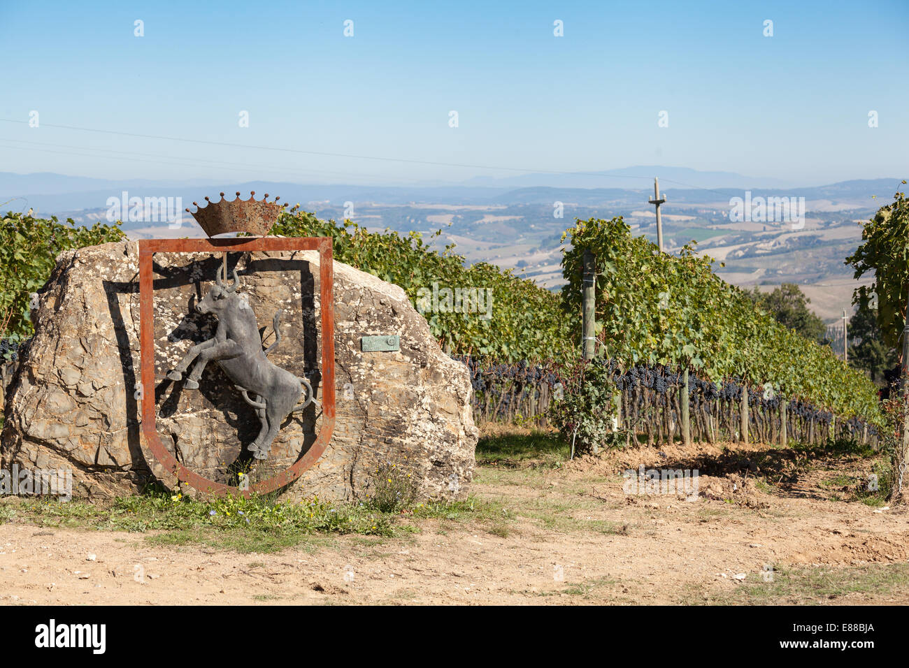 Bull und Krone Emblem Skulptur im Weinberg von Montalcino-Toskana-Italien Stockfoto