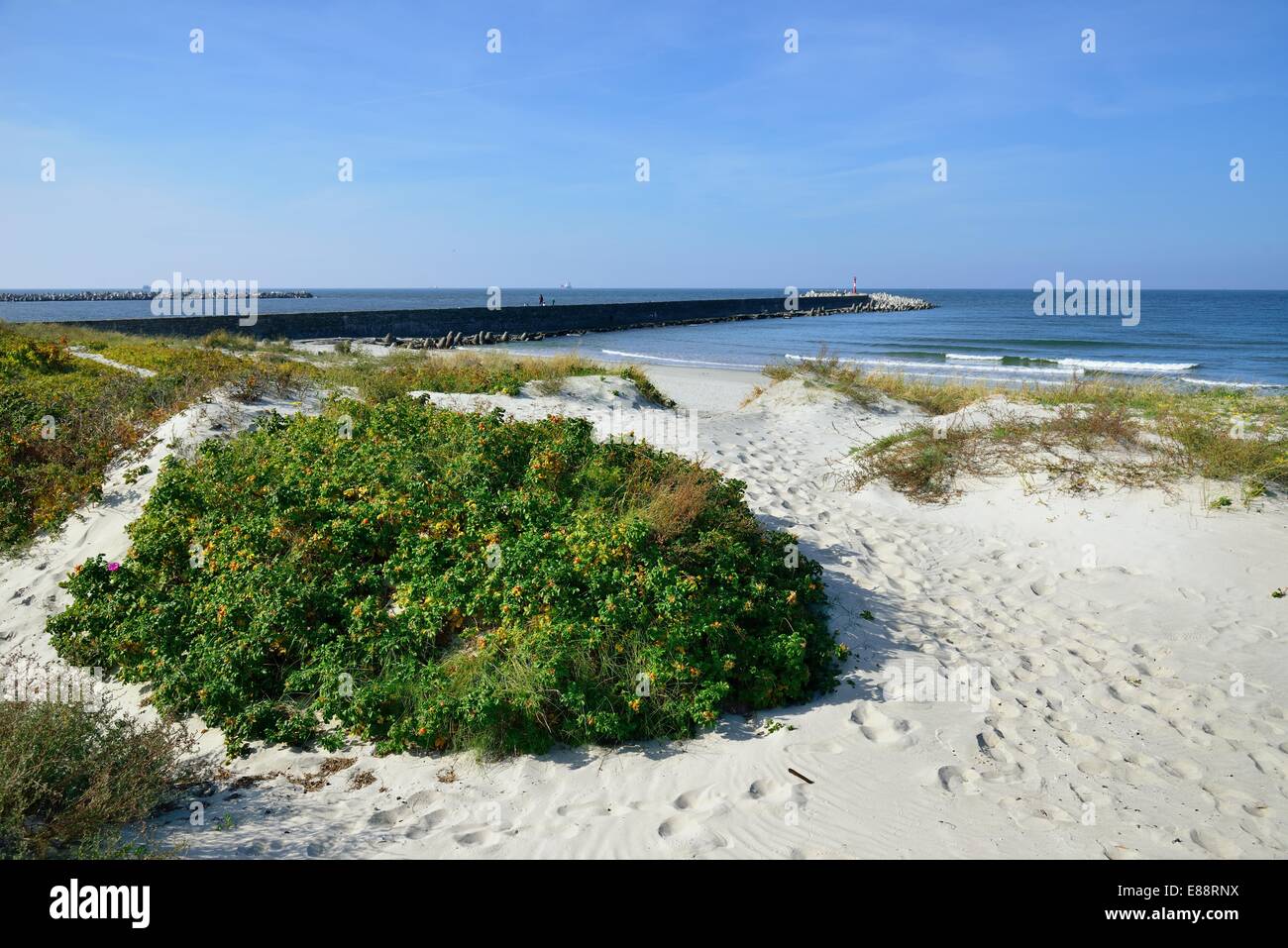 Ostsee-Strand Stockfoto