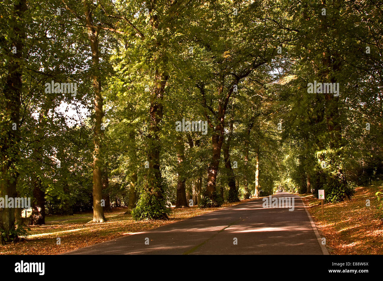 Dundee, Schottland, Vereinigtes Königreich. 2. Oktober 2014: Wetter; Herbst Heatwave. Das Met Office aufgezeichnet, September / Oktober 2014 ist der wärmste Herbst im Vereinigten Königreich seit 1910. Menschen, die genießen das warme Wetter und die Herbstfarben in Camperdown Country Park in Dundee, Schottland. Bildnachweis: Dundee Photographics/Alamy Live-Nachrichten Stockfoto