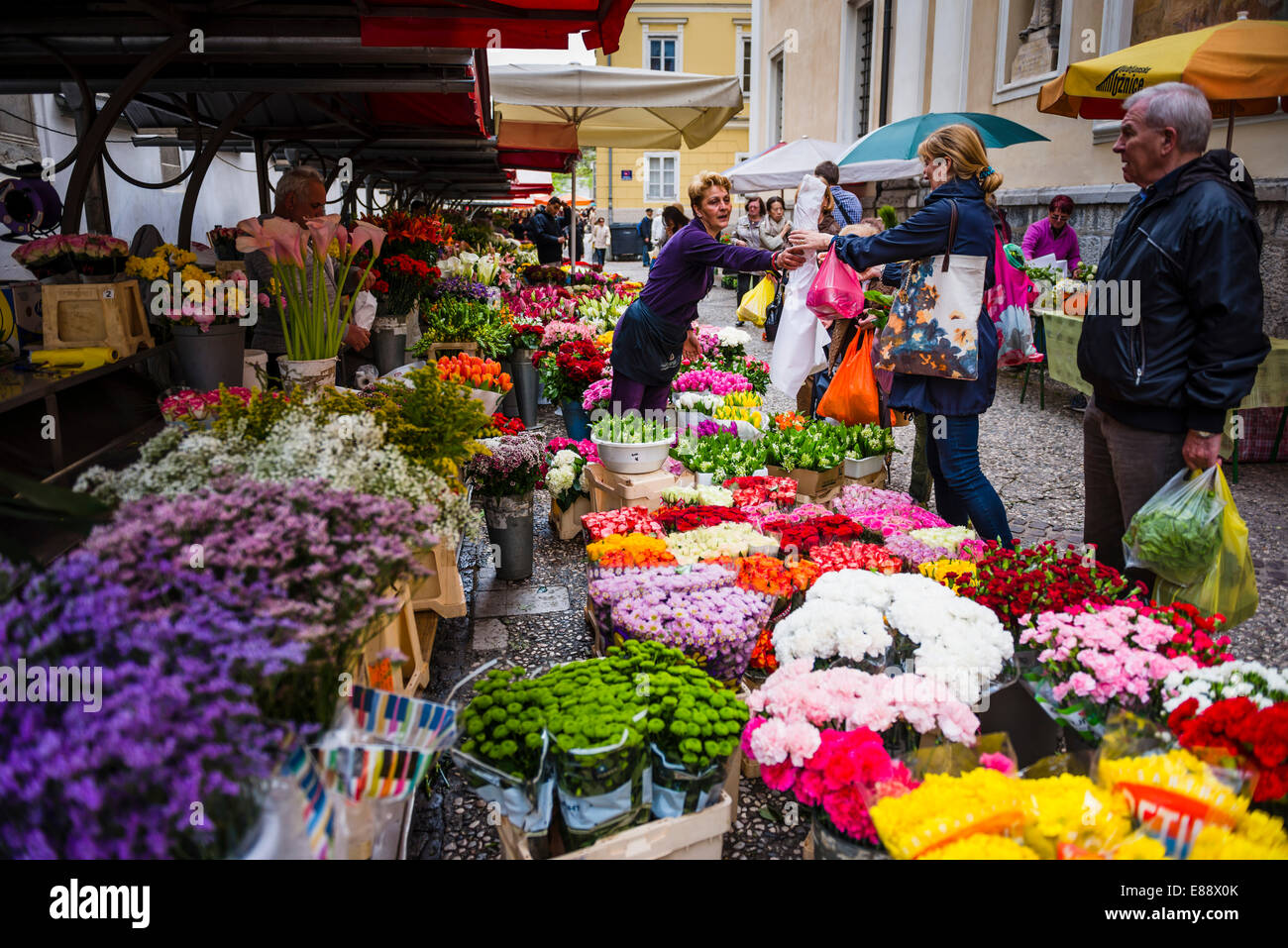 Flower Stall Besitzer in Ljubljana Zentralmarkt an einem Samstag in Vodnikov Trg, Ljubljana, Slowenien, Europa Stockfoto