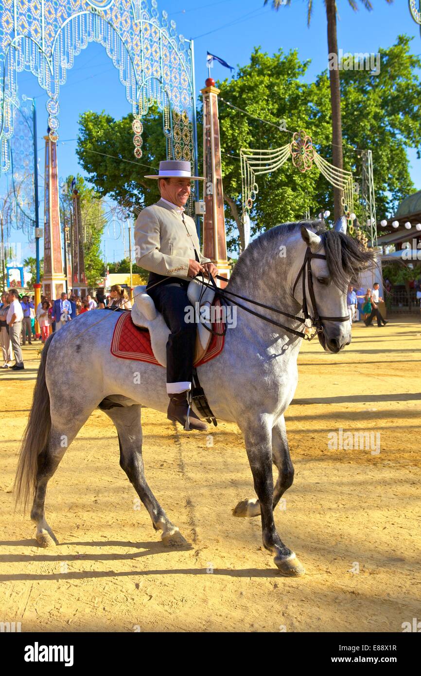 Spanische Pferd Reiter in Tracht auf jährliche Pferdemesse, Jerez De La Frontera, Provinz Cadiz, Andalusien, Spanien, Europa Stockfoto