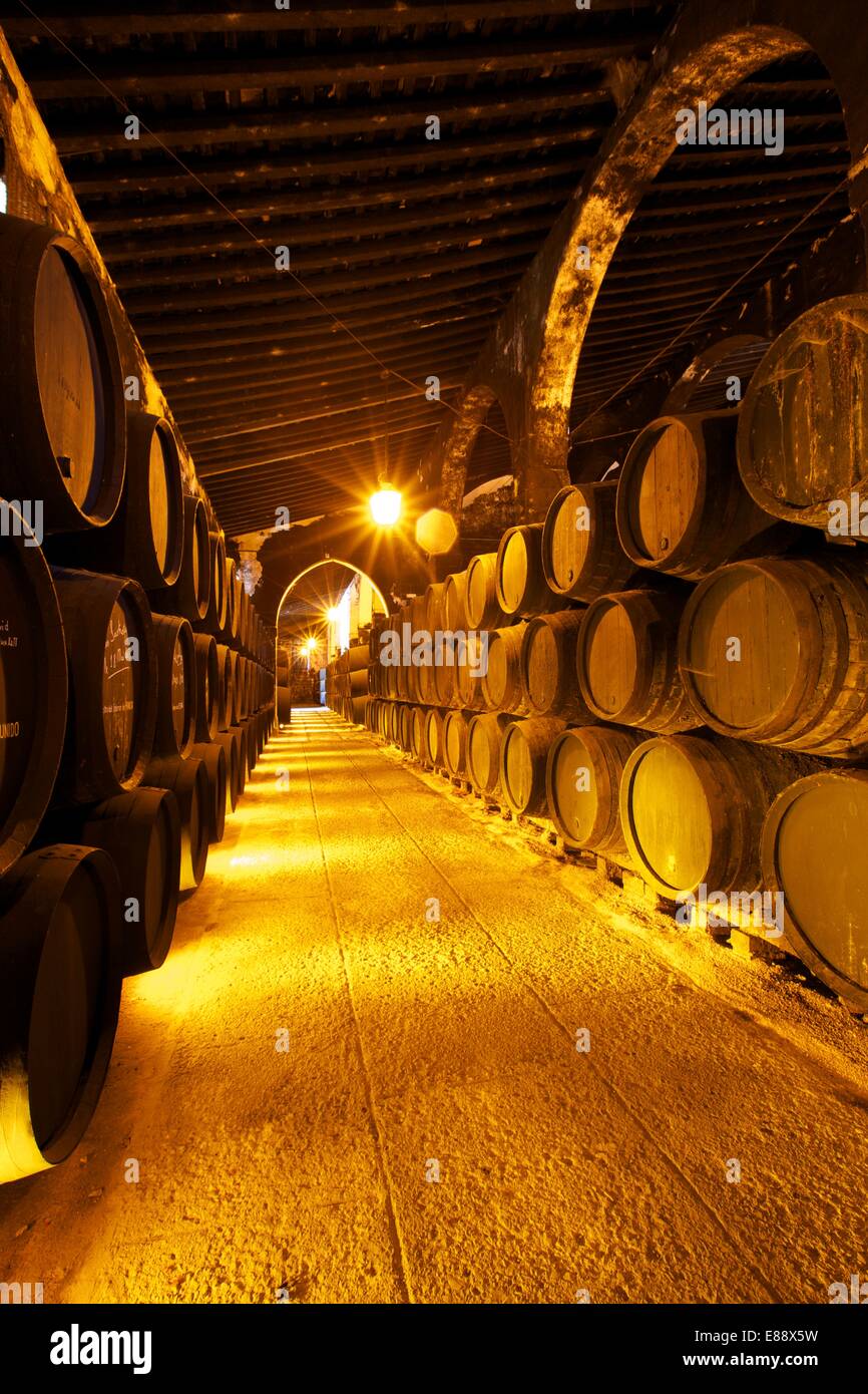 Bodegas Harvey, Jerez De La Frontera, Provinz Cadiz, Andalusien, Spanien, Europa Stockfoto