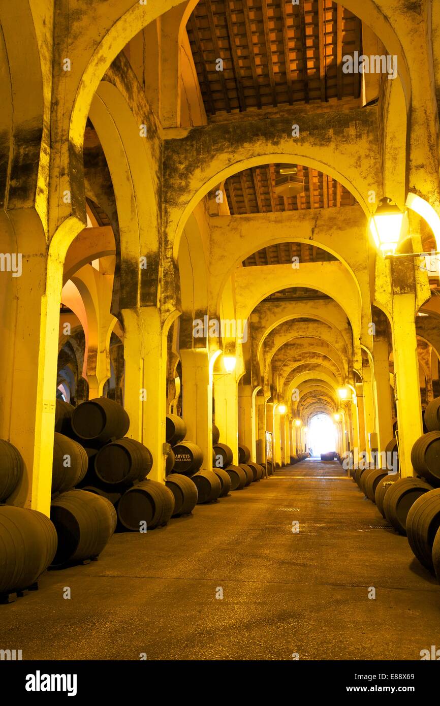 Bodegas Harvey, Jerez De La Frontera, Provinz Cadiz, Andalusien, Spanien, Europa Stockfoto