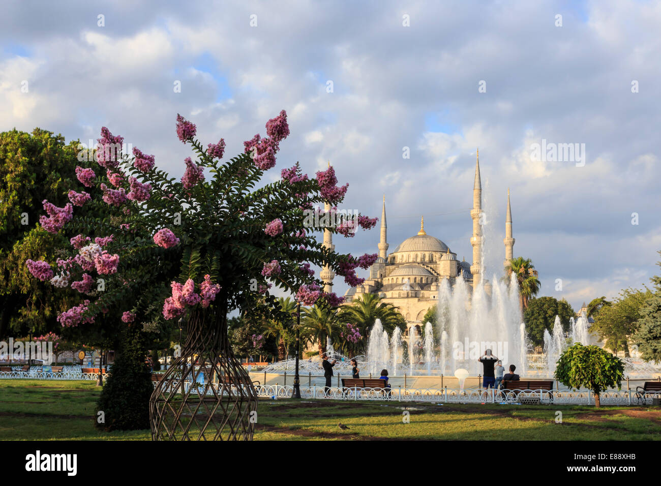 Blühender Baum und Familien in Sultanahmet Park vor der blauen Moschee, August am frühen Morgen, Sultanahmet, Istanbul, Türkei Stockfoto