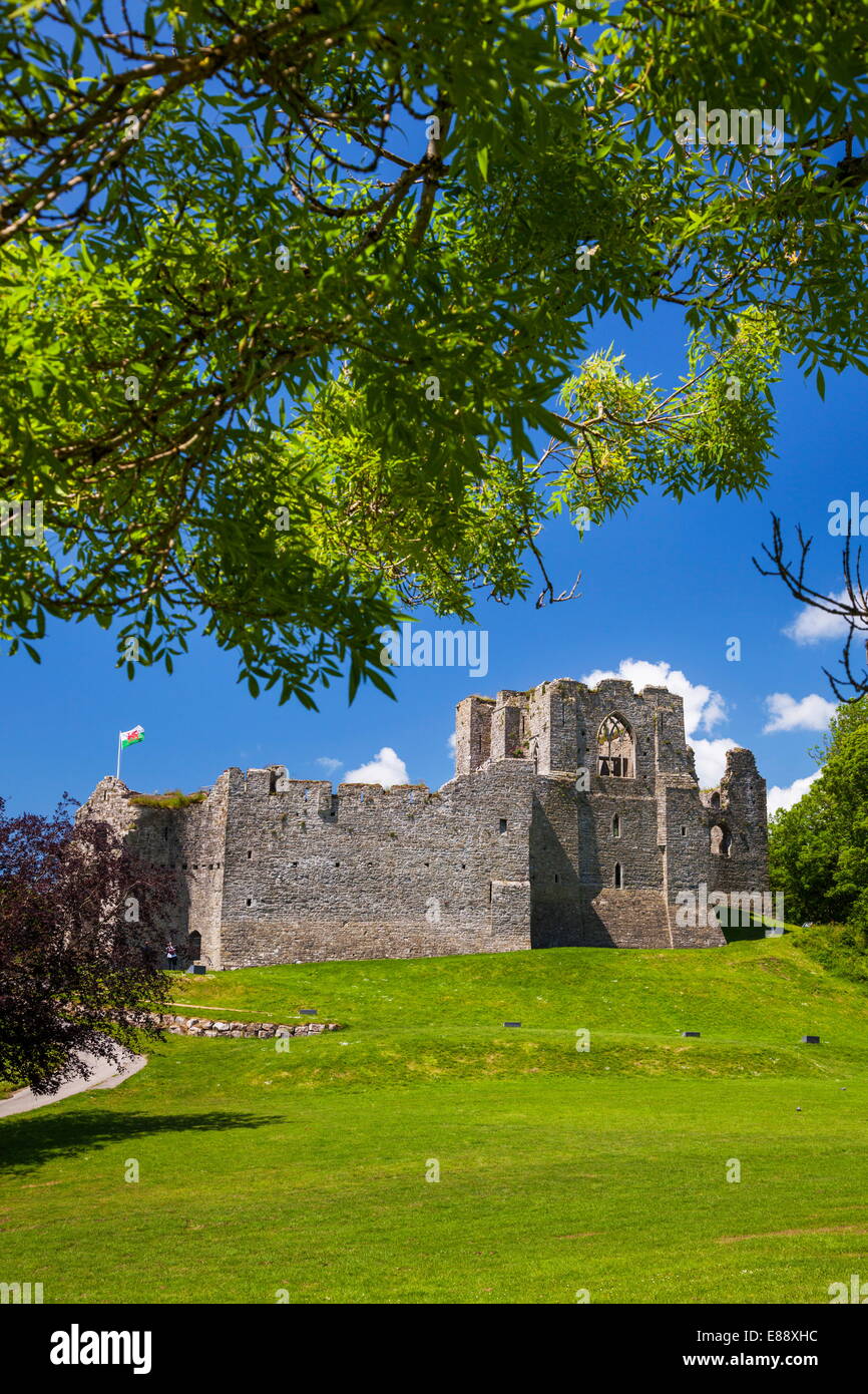 Überzeugender Burg, Mumbles, Gower, Wales, Vereinigtes Königreich, Europa Stockfoto