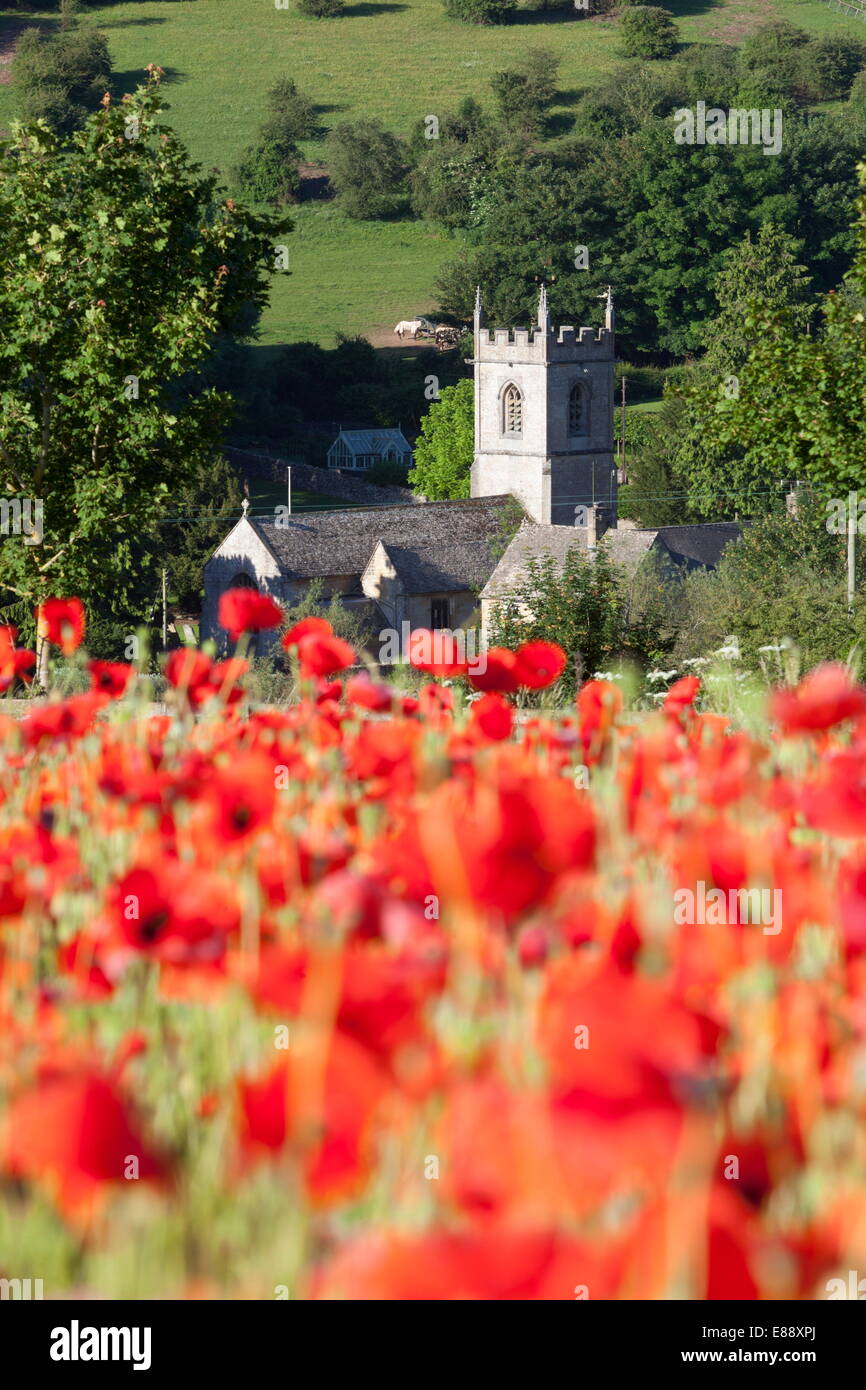 Mohnfeld und St. Andreas Kirche, Naunton, Cotswolds, Gloucestershire, England, Vereinigtes Königreich, Europa Stockfoto