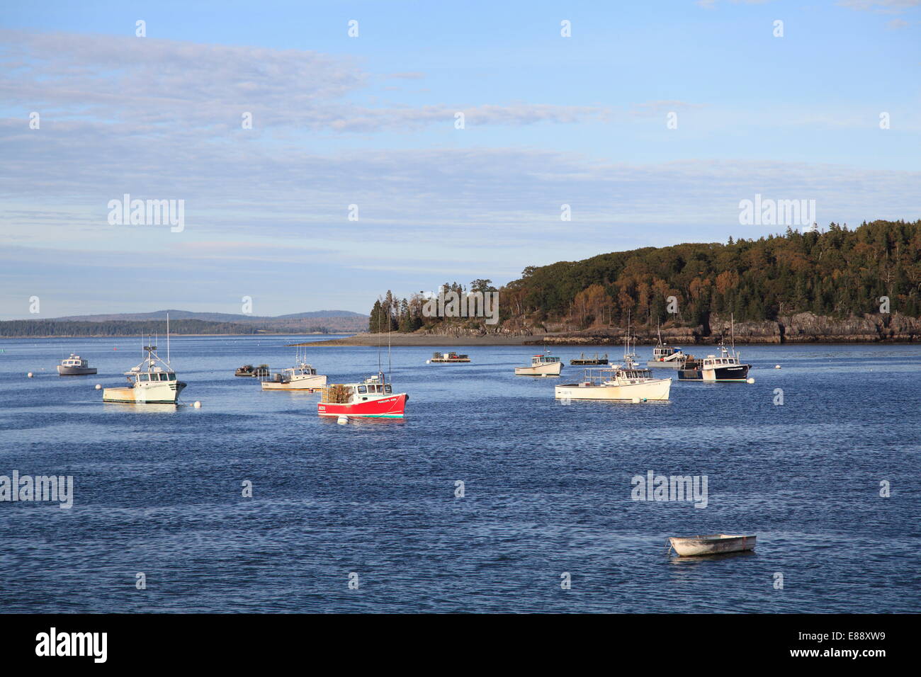 Angelboote/Fischerboote, Bar Harbor, Mount Desert Island, Maine, New England, Vereinigte Staaten von Amerika, Nordamerika Stockfoto