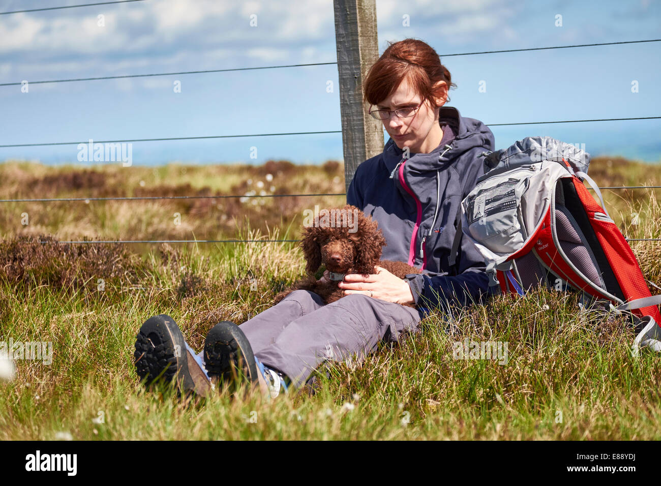 Eine weibliche Wanderer mit ihrem Hund auf einem Spaziergang in der Natur sitzen. Stockfoto