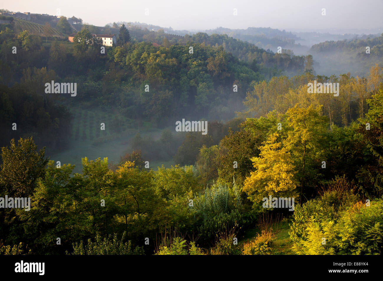 Blick auf Camerano Casasco Asti, Dorf mit Wald, Wald, Hügel, natürliche Landschaft in Piemont, Piemont, Italien, Italia Stockfoto