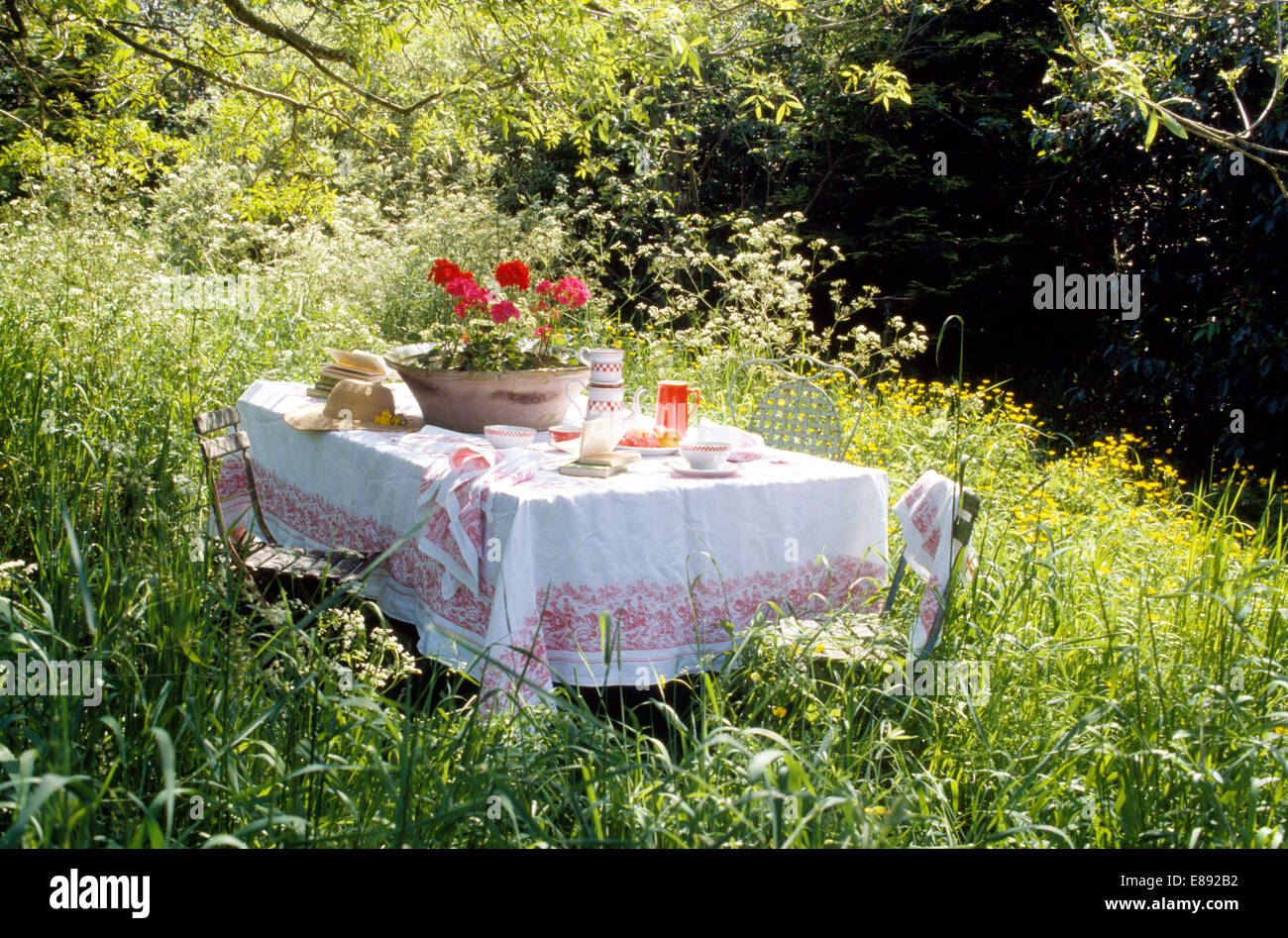 Topf mit roten Geranien auf Tisch Vintage Leinentuch im Naturgarten Stockfoto