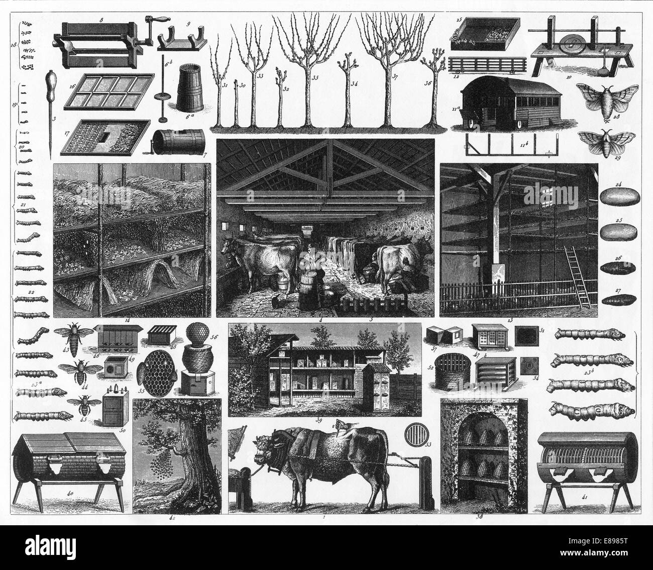 Gravierten Abbildungen der Landwirtschaft von ikonographische Enzyklopädie der Wissenschaft, Literatur und Kunst, veröffentlicht im Jahre 1851. Stockfoto