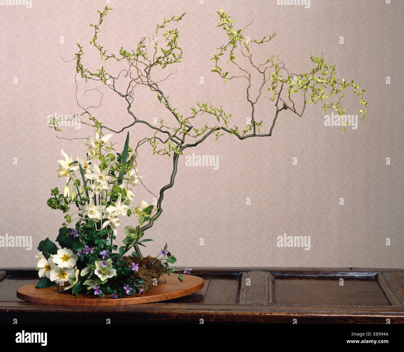 Formalen japanischen Stil Blumenarrangement Weiße Narzisse und Primula mit blauen Veilchen und verdrehten Weide Stockfoto