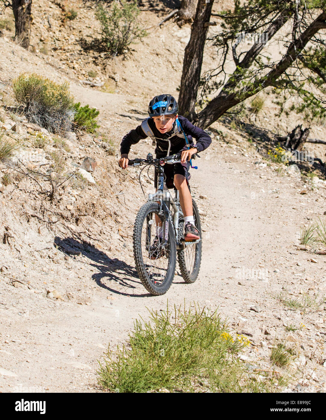 Mittelschule Kinder im Alter von 10-14 Mountain Bike auf dem kleinen Regenbogen Trail, Salida, Colorado, USA Stockfoto