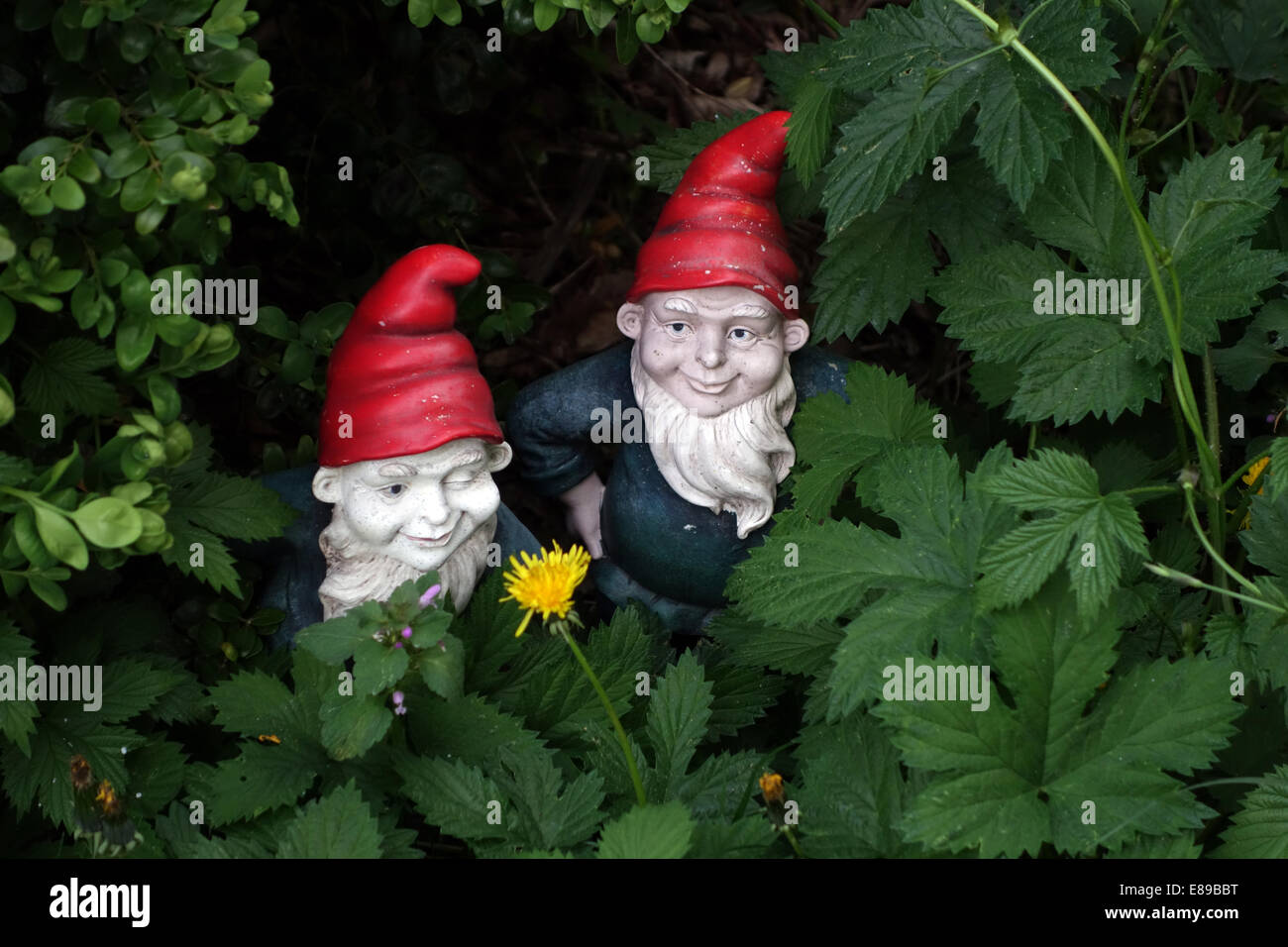 Berlin, Deutschland, Garten Zwerge in einem Gebüsch Stockfoto