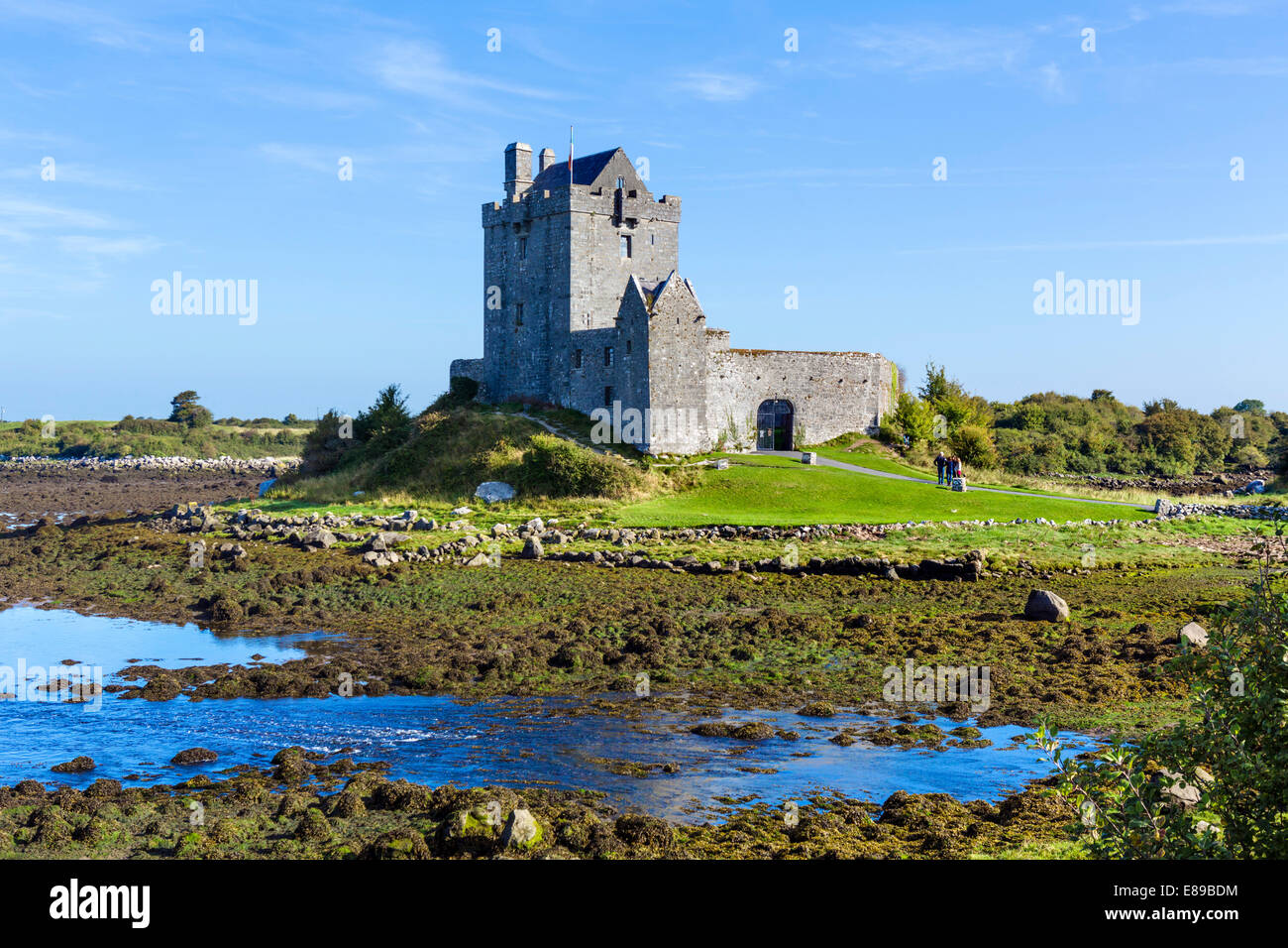Dunguaire Castle, ein 16thC Wohnturm in der Nähe von Kinvarra, Bucht von Galway, County Galway, Irland Stockfoto