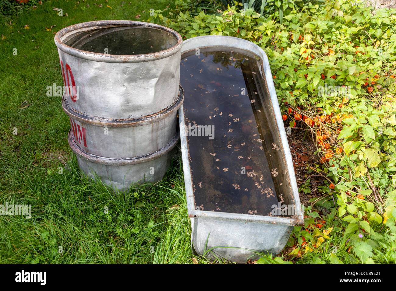 Wasser Fass Behalter Im Garten Stockfoto Bild 73967321 Alamy