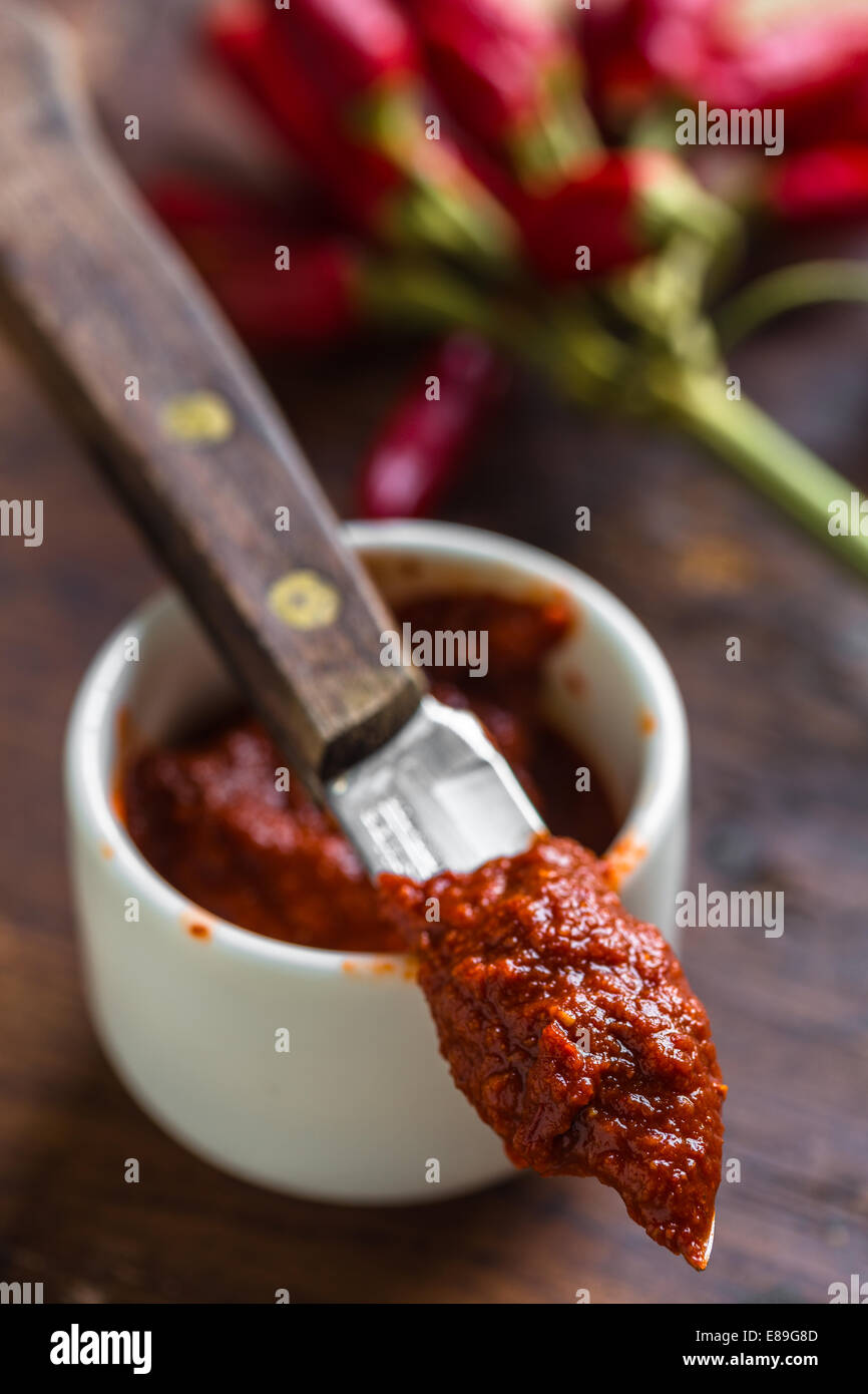 Harissa, tunesische scharfe rote Soße oder Paste aus Chili peppers Stockfoto