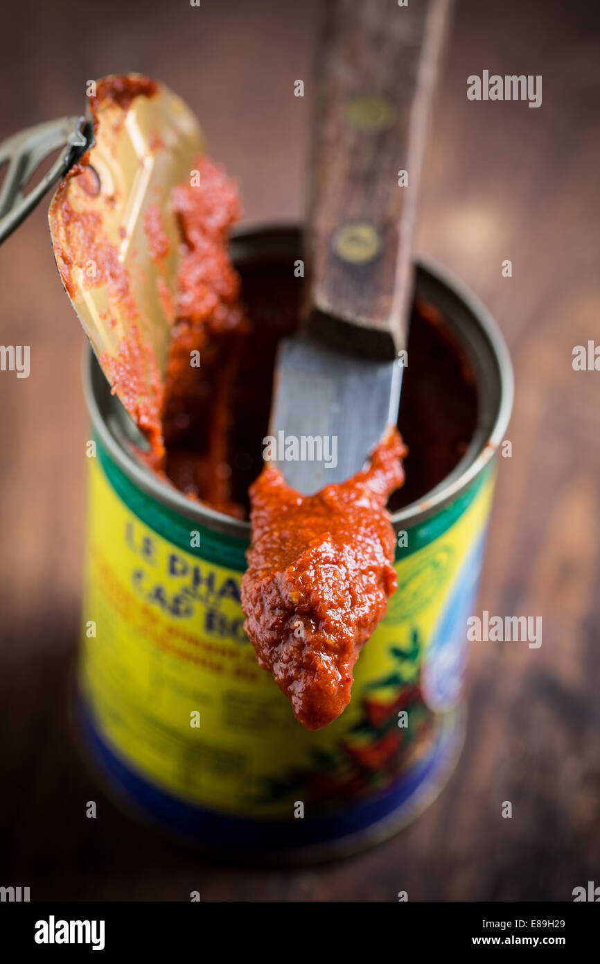 Harissa, tunesische scharfe rote Soße oder Paste aus Chili peppers ...