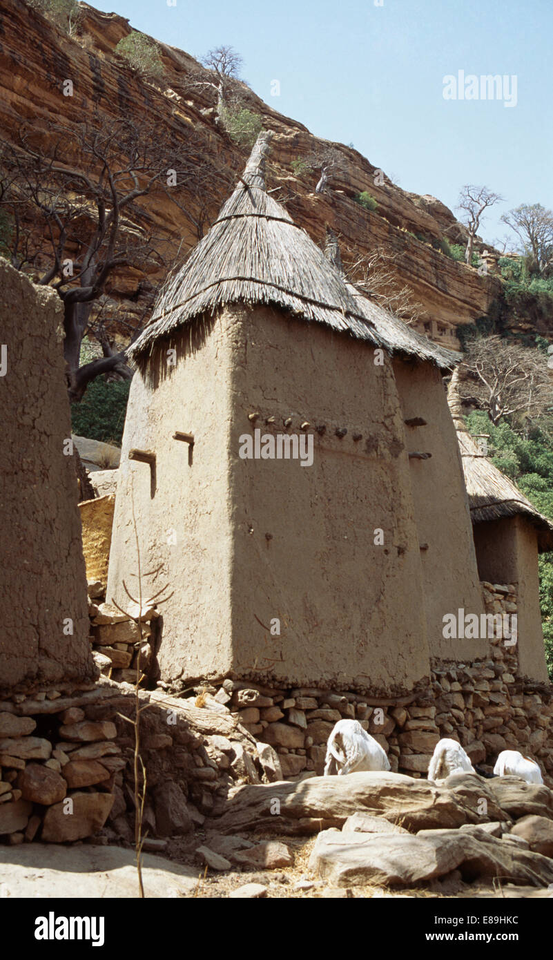 Konische überdachten Korn Lagern in Banani Dorf im Dogonland, Mali Stockfoto