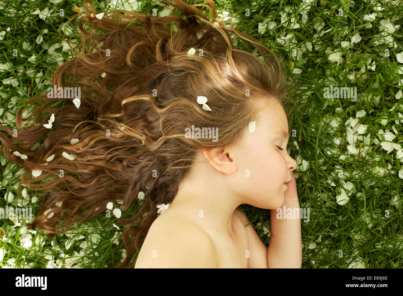 Mädchen schläft im Feld mit Blütenblättern Stockfoto