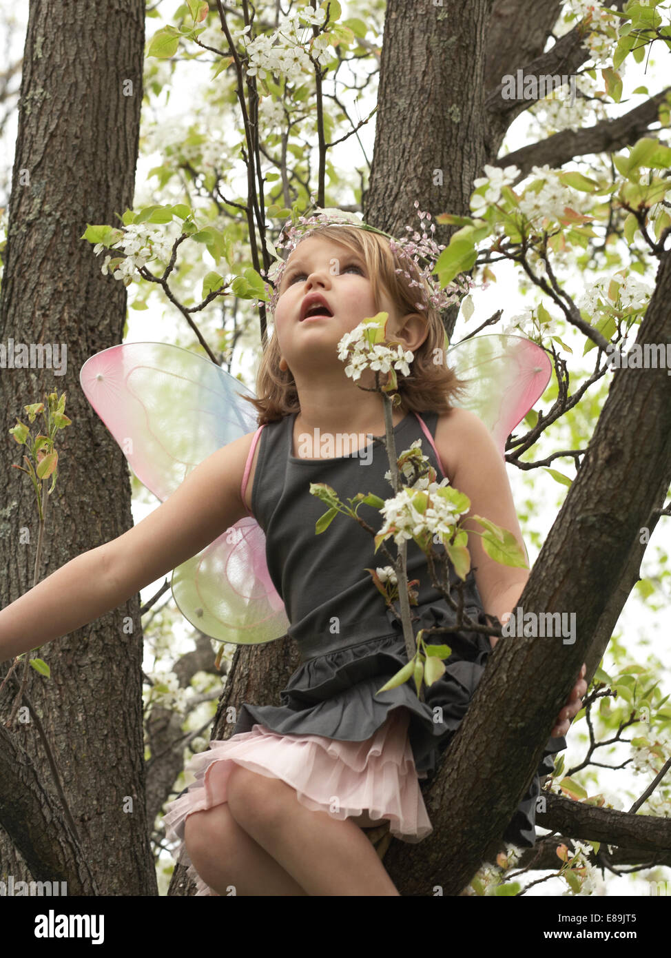 kleines Mädchen in einem Kletterbaum Feenflügel Stockfoto