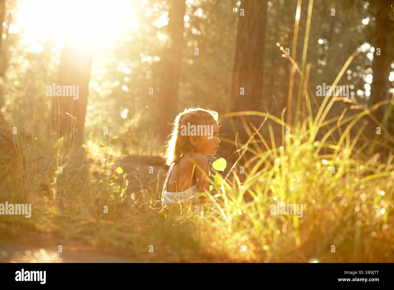 Mädchen im Wald mit warmen Sonne sitzen Stockfoto