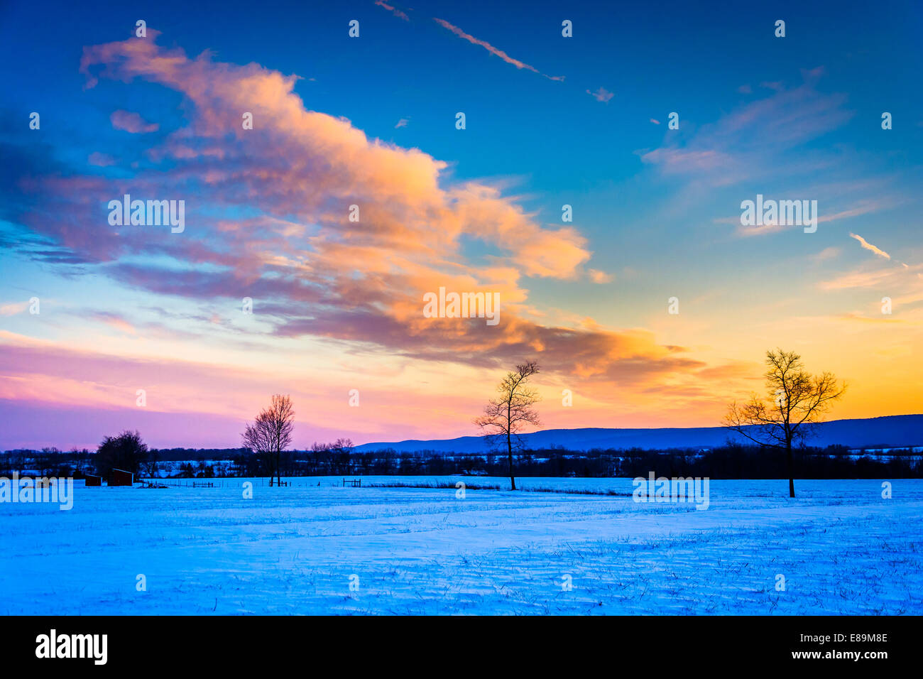 Winter-Sonnenuntergang über einem Feld-Hof in ländlichen Frederick County, Maryland. Stockfoto