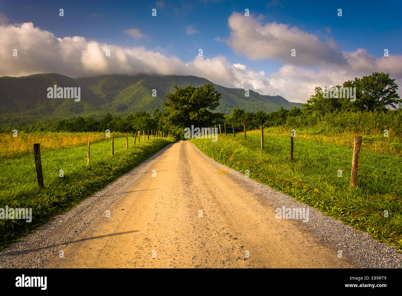 Feldweg bei Cade Cove, Great Smoky Mountains National Park, Tennessee. Stockfoto