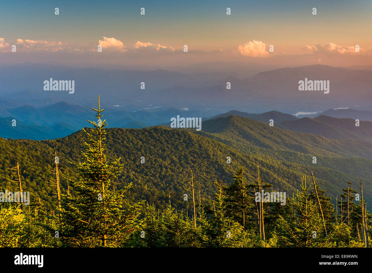 Am Abend Blick auf die Appalachian Berge von Clingmans Kuppel im Great Smoky Mountains National Park, Tennessee. Stockfoto