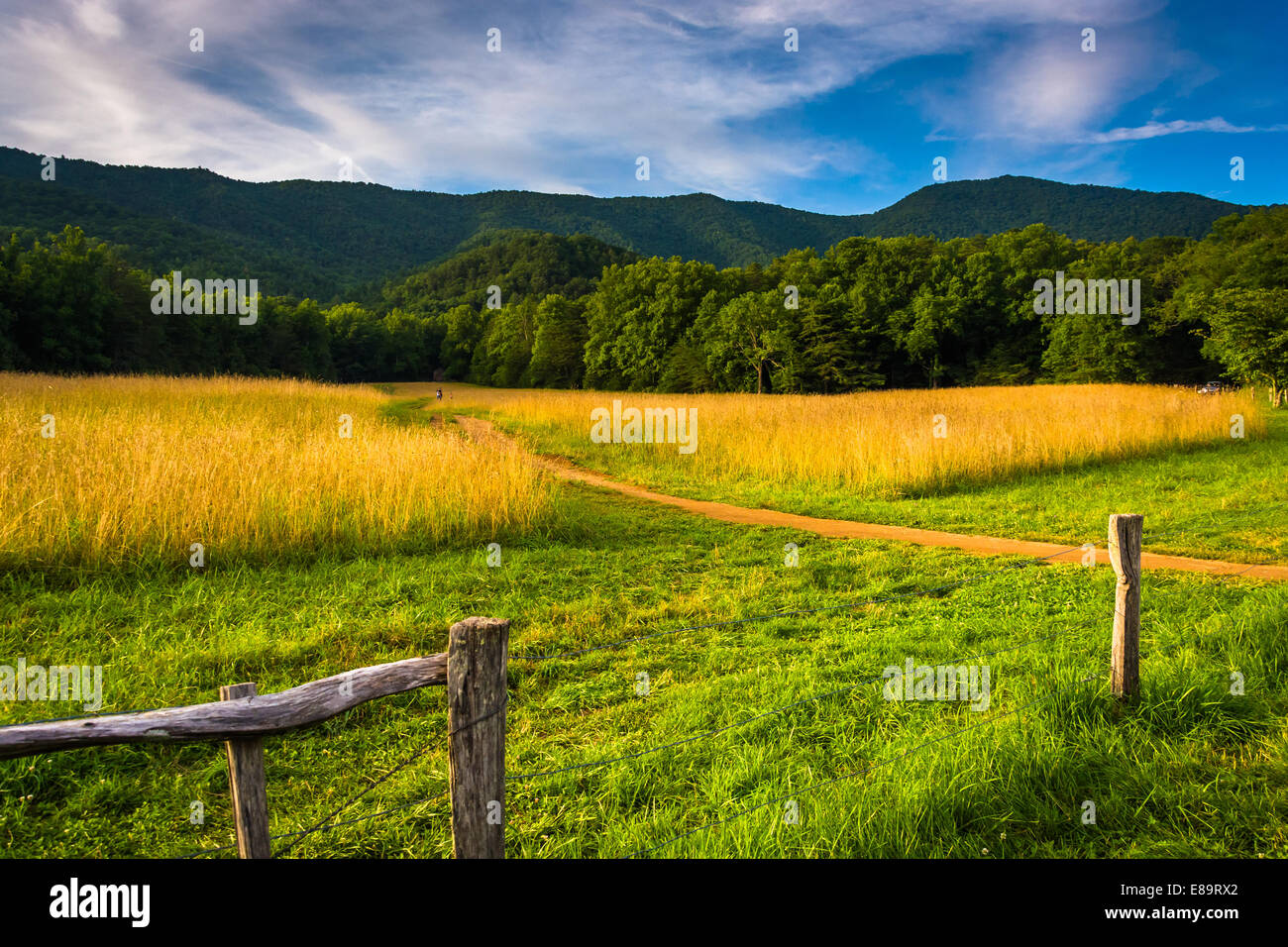 Zaun und Feld Cade Cove, Great Smoky Mountains National Park, Tennessee. Stockfoto