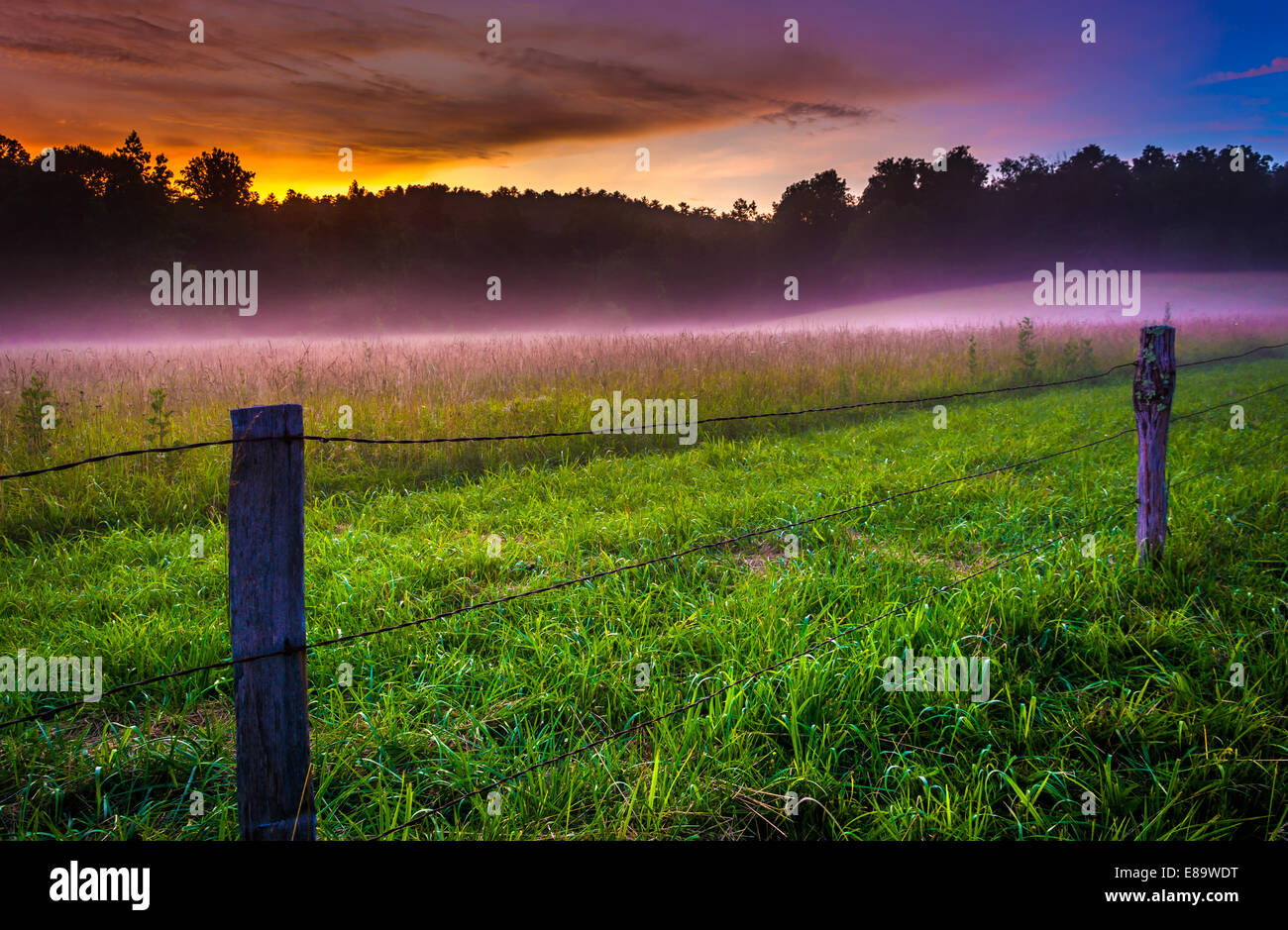 Nebel bei Sonnenuntergang Cade Cove, Great Smoky Mountains National Park, Tennessee. Stockfoto