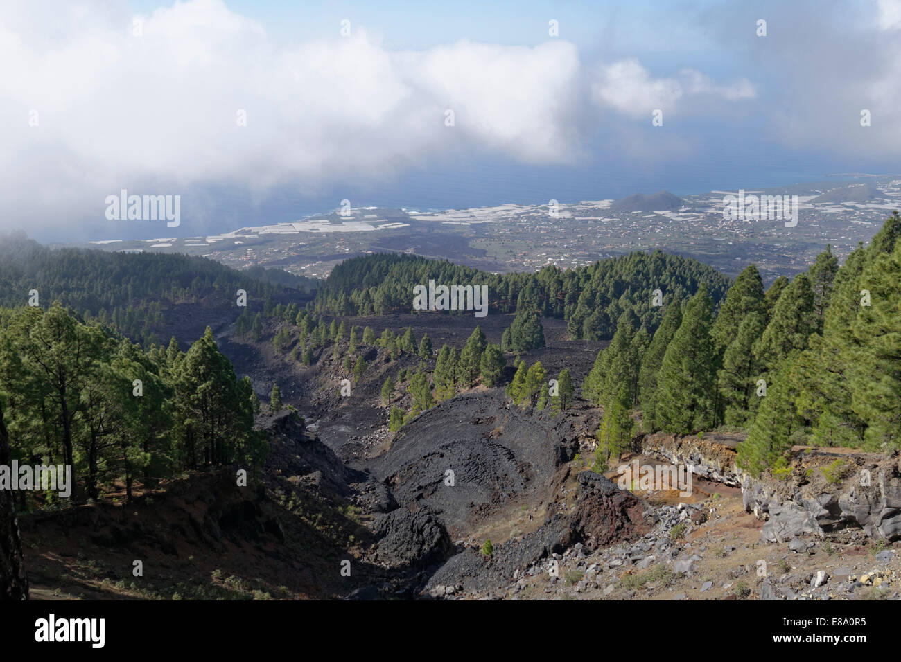 Lavastrom von 1949, Coladas de San Juan, Cumbre Vieja, La Palma, Kanarische Inseln, Spanien Stockfoto