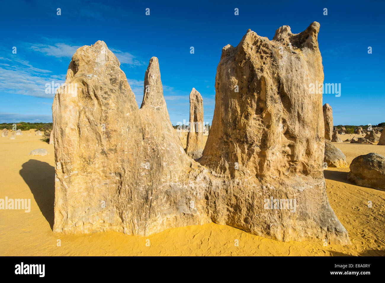 Die Pinnacles Kalkstein-Formationen, Nambung National Park, Western Australia Stockfoto