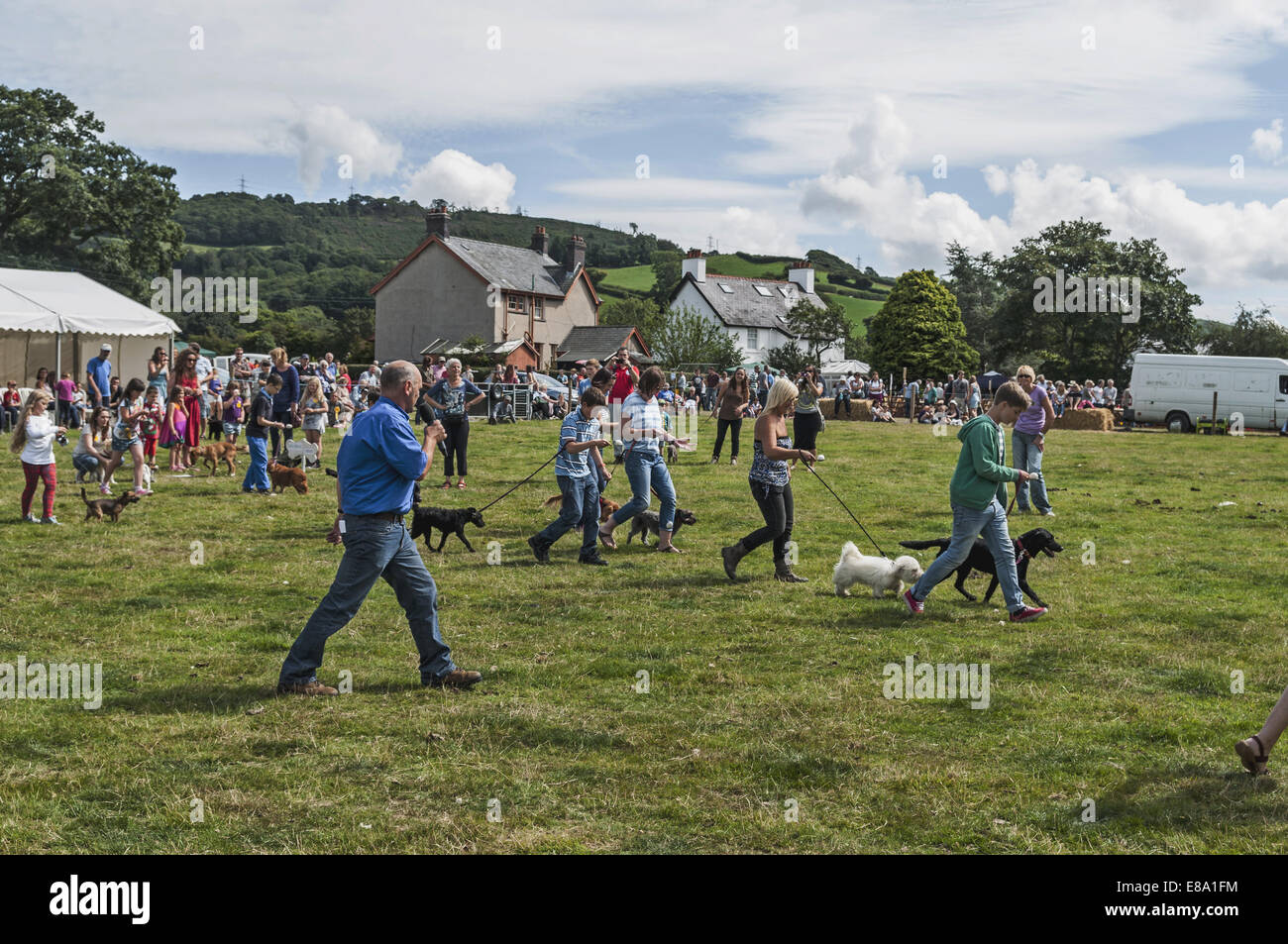 Eglwysbach landwirtschaftliche Messe 2014 Nord-Wales Stockfoto