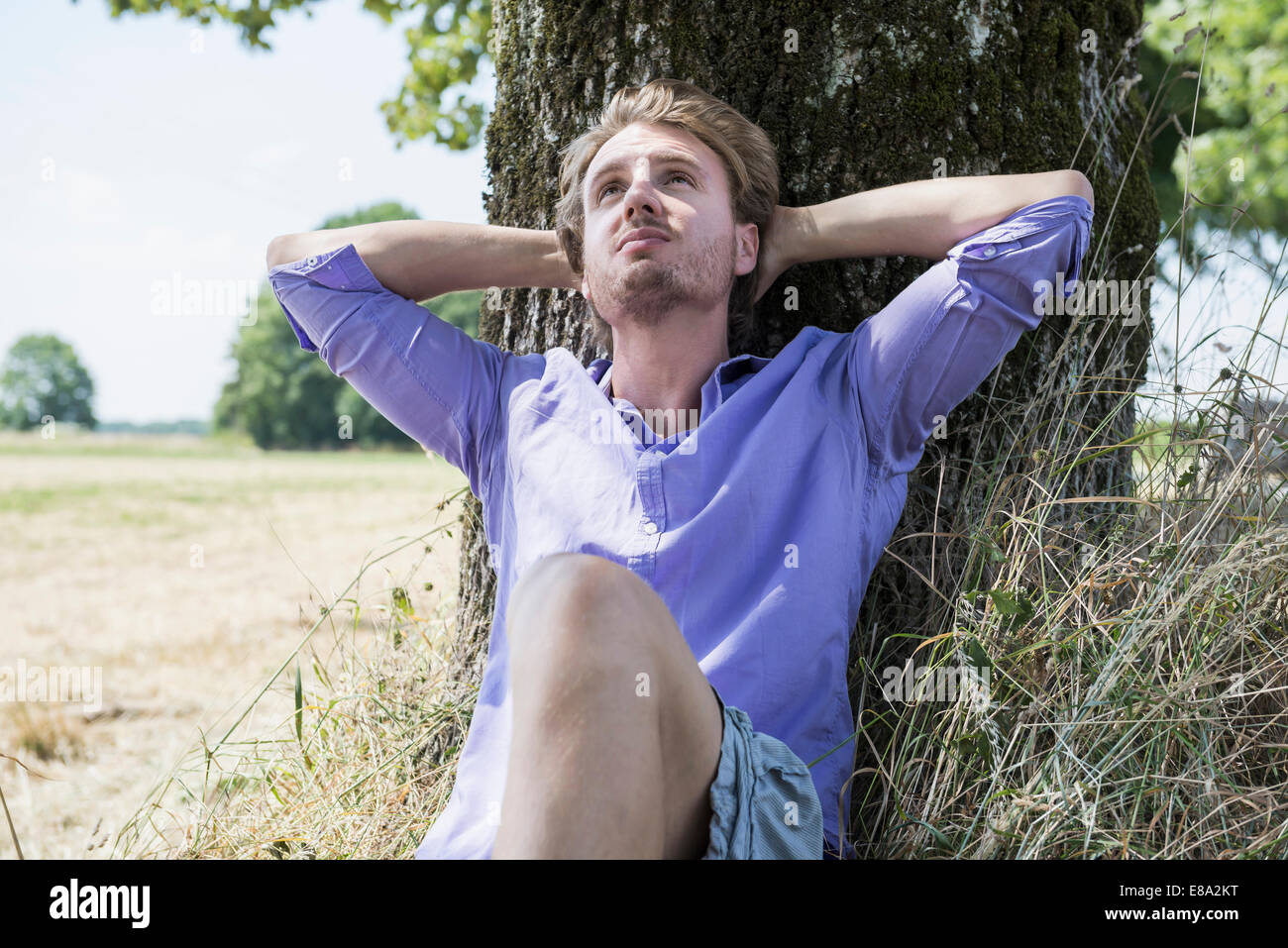 Menschen sitzen unter dem baum Fotos und Bildmaterial in hoher Auflösung Seite 6 Alamy