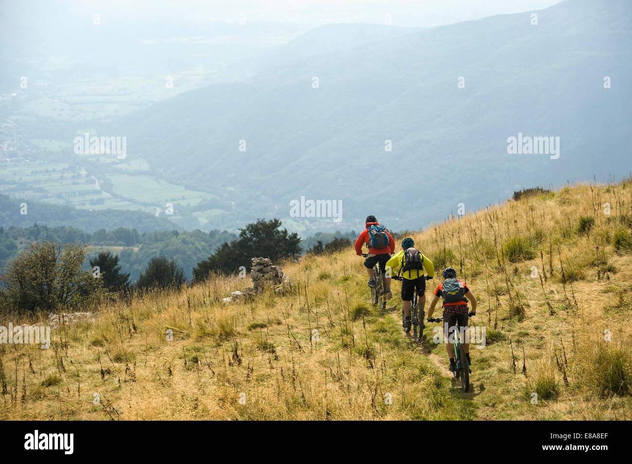 drei Mountainbiker auf dem Weg bergab, Matajur, Istrien, Slowenien Stockfoto
