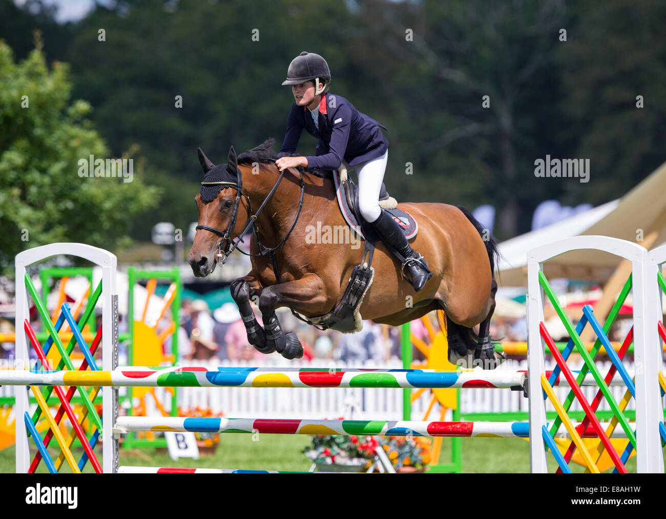 Pferd Springreiten im New Forest zeigen, Hampshire, england Stockfoto