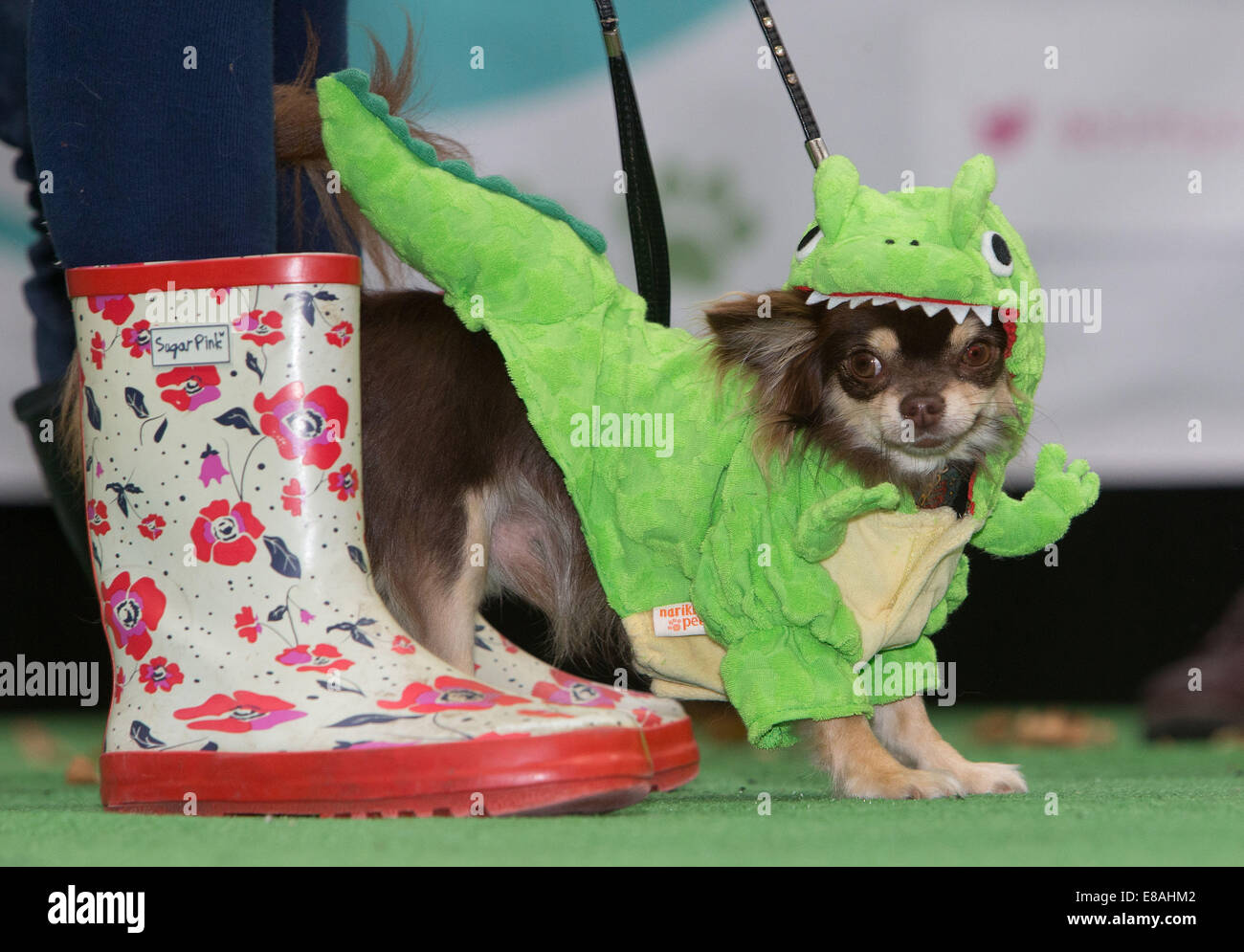 Spitalfields Hund Pageant und Mode-show Stockfoto