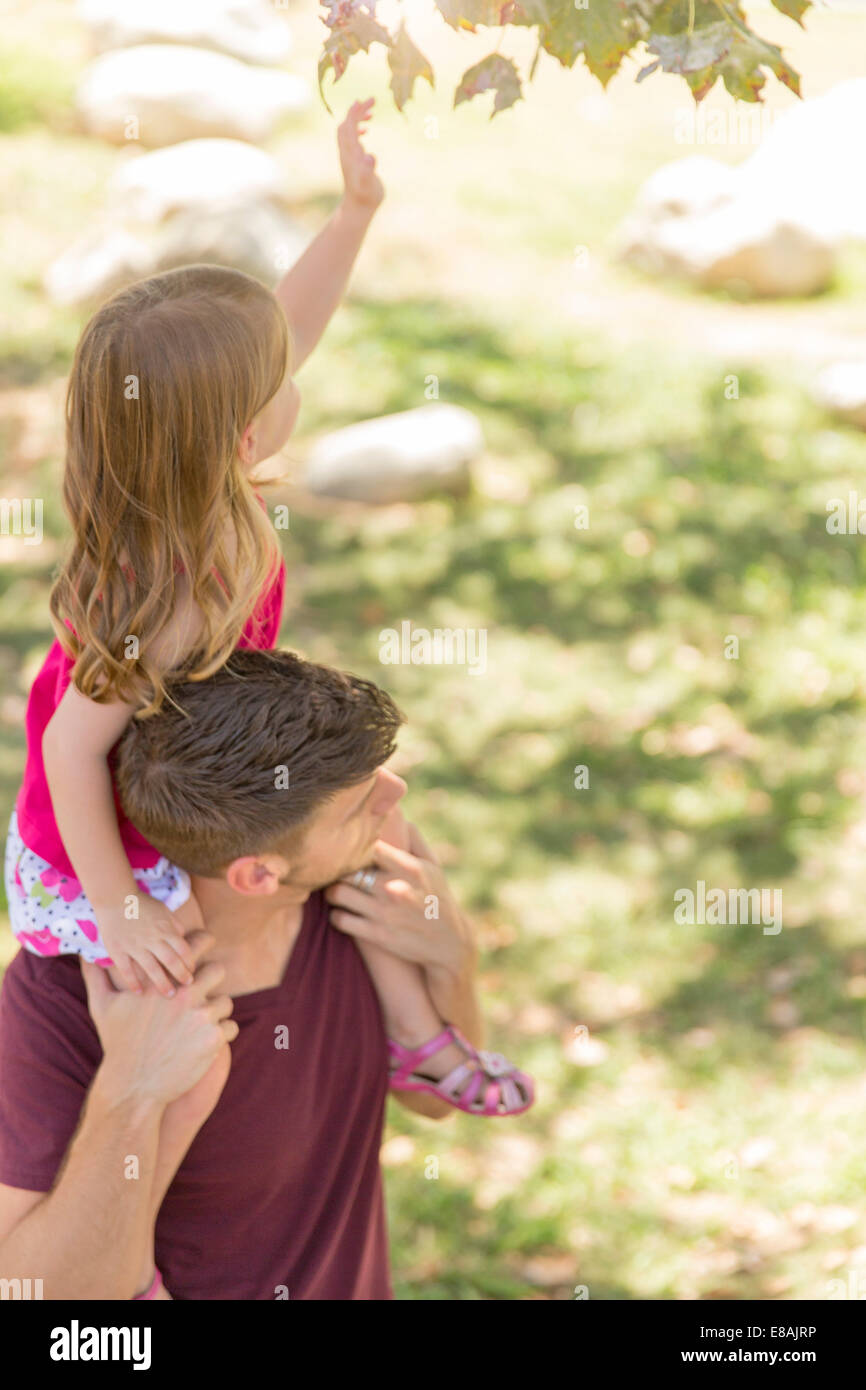 Junges Mädchen für Baum Blatt von Vätern Schultern im Park zu erreichen Stockfoto