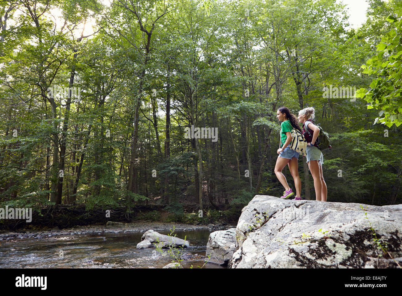 Wanderer im Wald Stockfoto