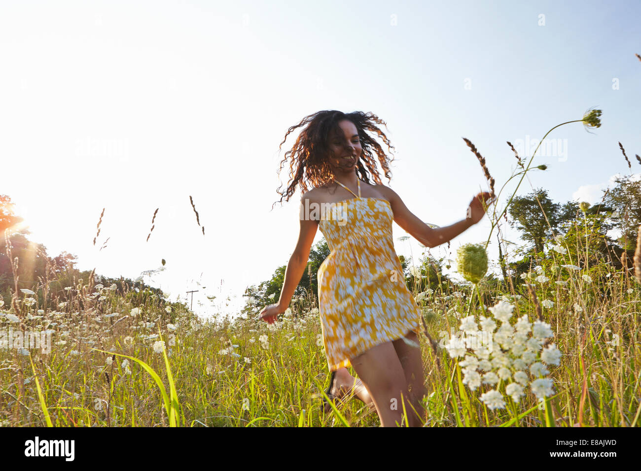 Frau im Bereich der Wildblumen Stockfoto