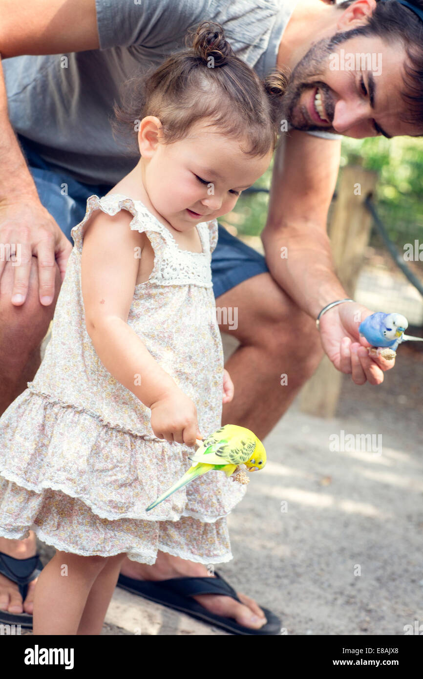 Vater und Baby Tochter hält Wellensittich Papageien im zoo Stockfoto