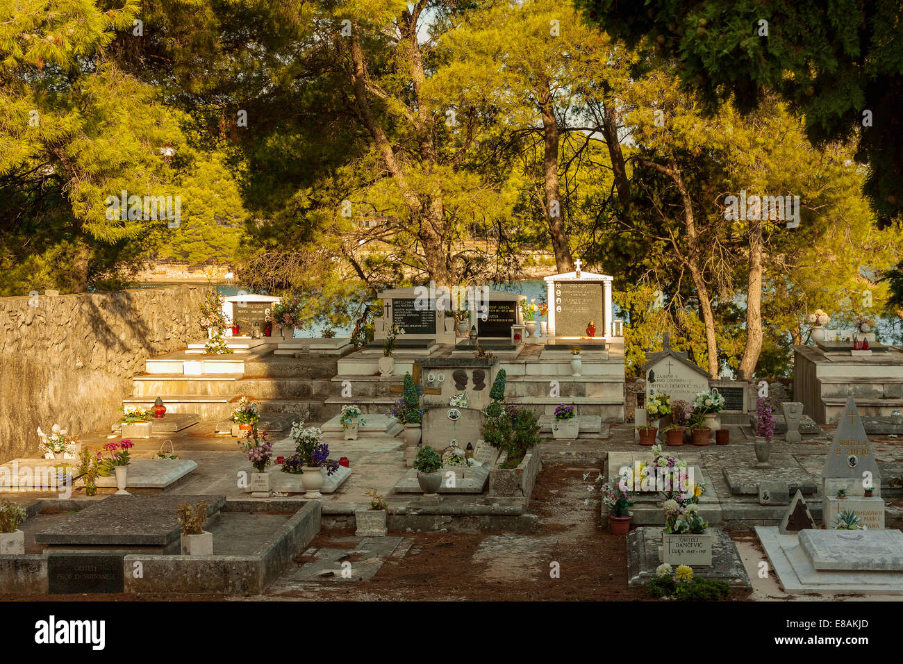 Friedhof in Jelsa, Insel Hvar, Kroatien Stockfoto