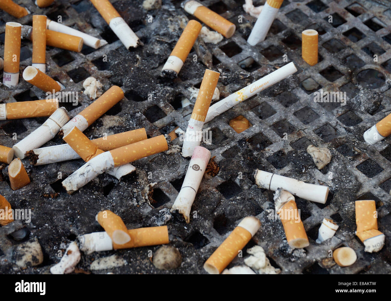 Zigarettenstummel im Aschenbecher Stockfoto