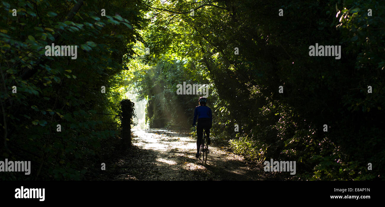 Radfahren in herbstlichen Bahnen. Stockfoto