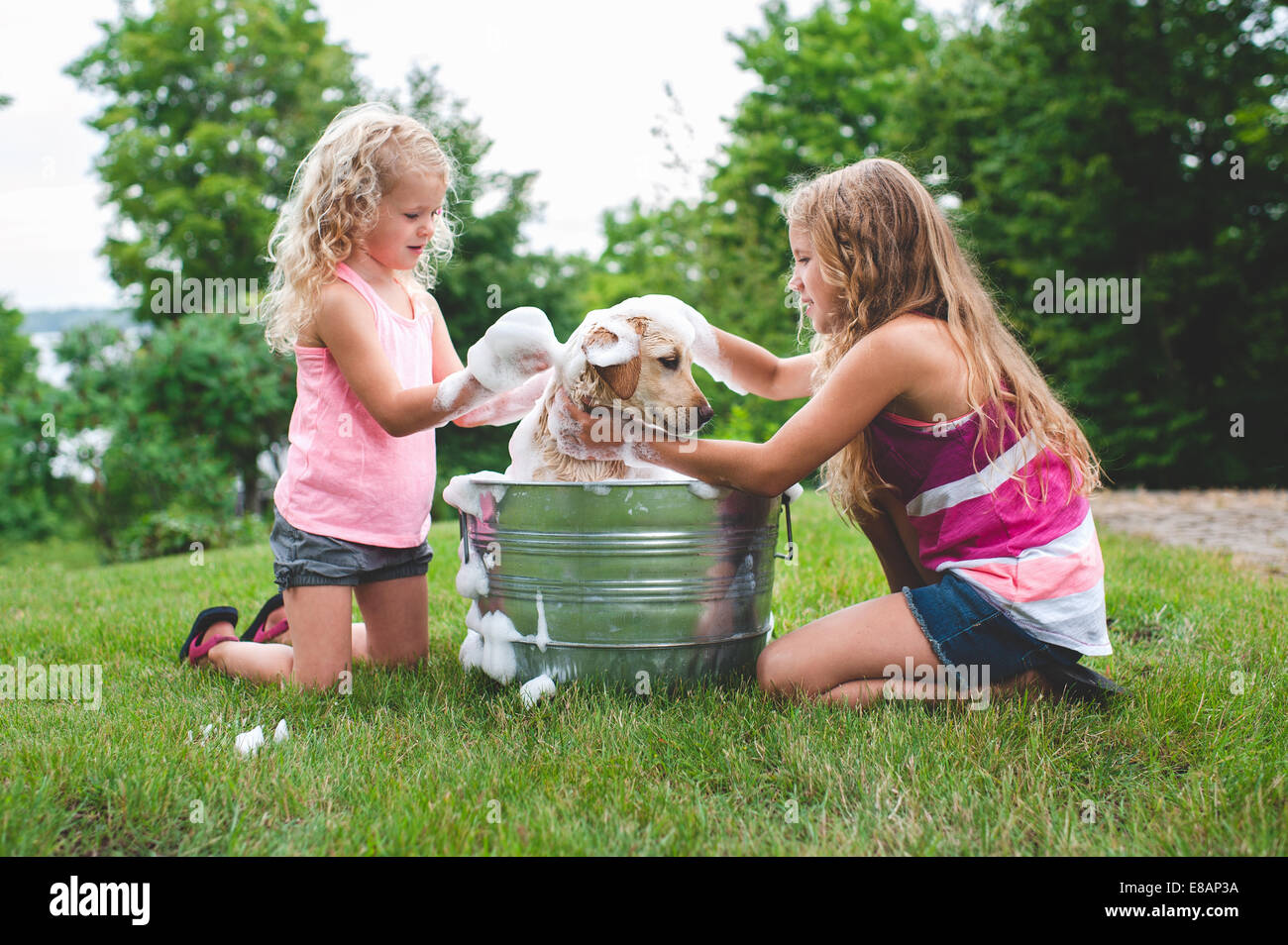 Zwei Schwestern Baden pet Labrador Retriever Welpen Stockfoto